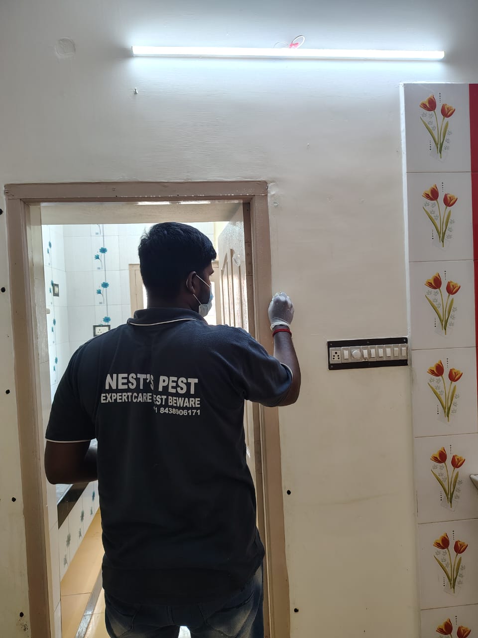 Pest Control Service